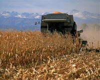 Improved Reaction Data Heat Up The Biofuels Harvest