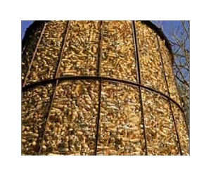 Corn Silage Hybrids and Seeding Rates