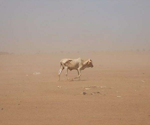 New study reveals source of rain is major factor behind drought risks for farmers