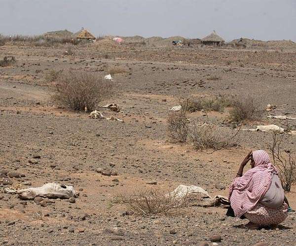 Over four million displaced in Ethiopia: IOM