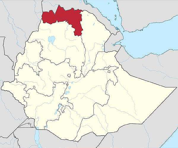 Blinken urges Eritrea pullout year after Tigray peace deal
