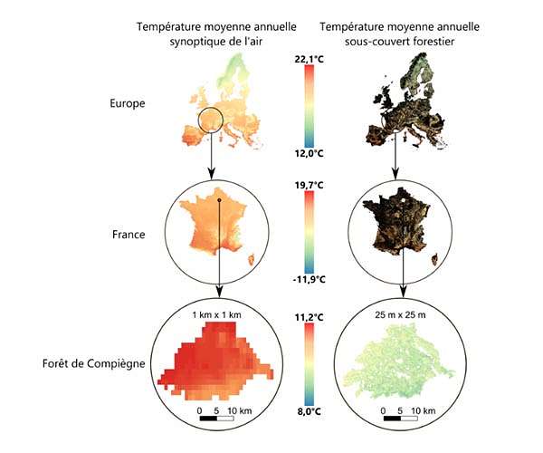 First European map of the insulating effect of forests