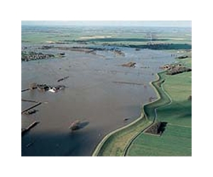'Apocalypse Noah': Dutch Christian readies escape Ark