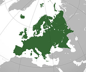Chemical pollution in Europe's Seas