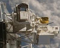 ISS research shows that hardy little space travelers could colonize Mars