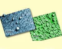 Phonon nanoengineering: Vibrations of nanoislands dissipate heat more effectively