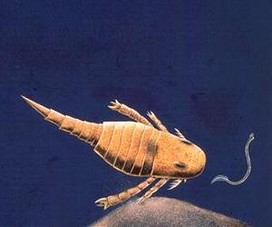 Ancient Wind Held Secret Of Life And Death