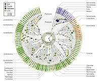 Common molecular tool kit shared by organisms across the tree of life