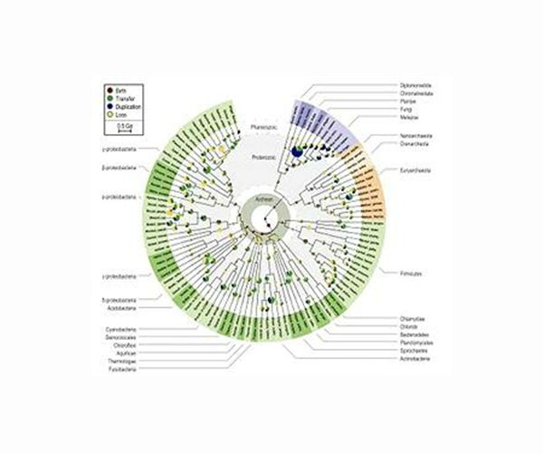 Scientists debate promise, peril of tweaking wild genomes