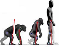 Predicting The Distribution Of Creatures Great And Small