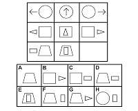 Making AI systems that see the world as humans do
