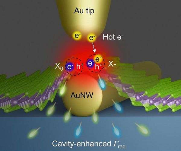 Unveiling the generation principles of charged particles 'trion' in 2D semiconductor