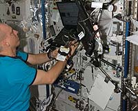 Cardiovascular System Gets Lazy In Space