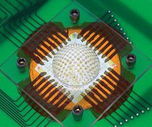 Insect-inspired camera captures wide field of view with no distortion, according to CU-Boulder study