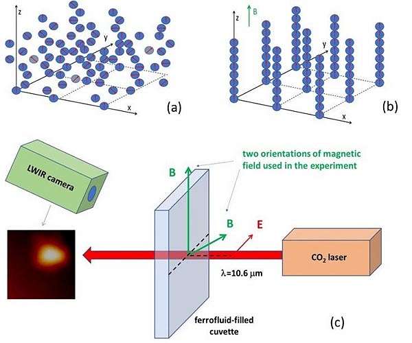 Hyperbolic metamaterials exhibit 2T physics