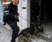 Army develops hearing protection for military working dogs