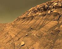Microbes, How Low Can You Go?