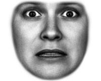 Eyes are windows to the soul -- and evolution