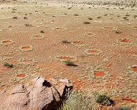 Fairy circles apparently not created by termites after all