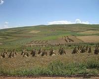 Dizzying heights: Prehistoric farming on the 'roof of the world'