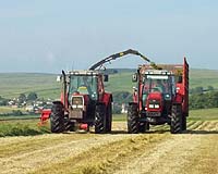 Nitrogen Fertilizers Deplete Soil Organic Carbon