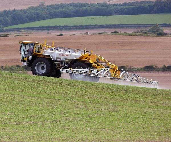France strikes down return of banned bee-killing pesticide