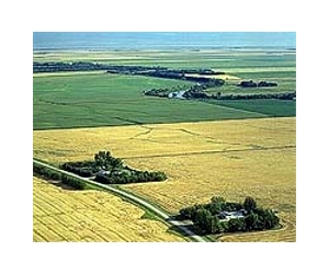 More Canadian farmers going high-tech