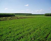 Long-term study shows crop rotation decreases greenhouse gas emissions