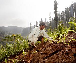 New soil testing kit for third world countries