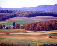 Grain market mystery solved