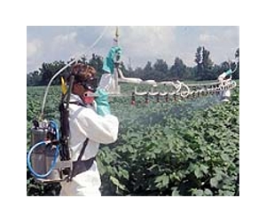 Two insecticides a risk for human nervous system: EU