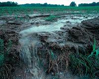 Toronto chemists identify role of soil in pollution control