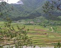 Chinese cyber-dissident takes farmers' land fight online