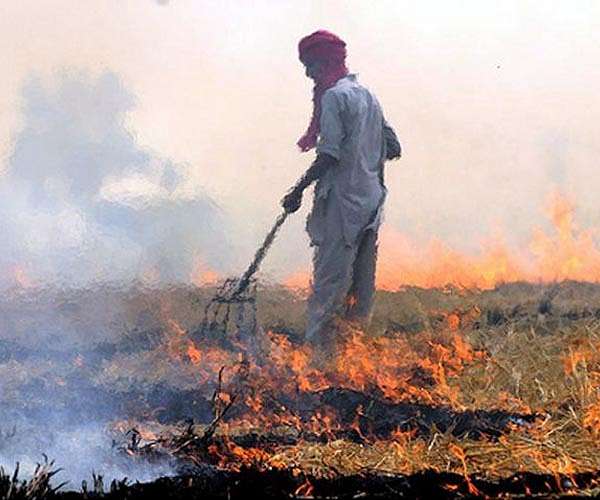 Air pollution from fires linked to 1.5 million deaths a year