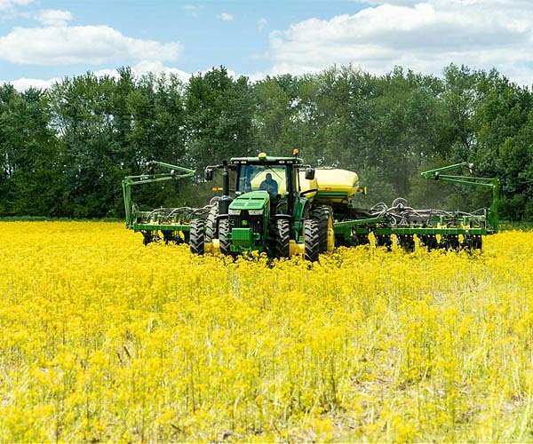 New gene to make plants heat-tolerant in rising temperatures