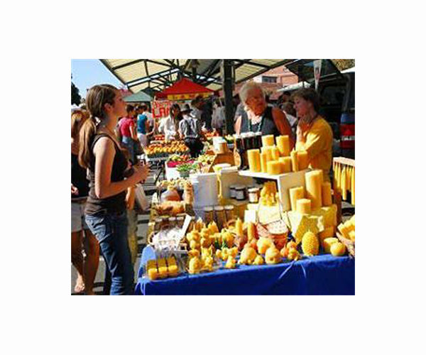 Dry summer puts squeeze on French Alps cheese