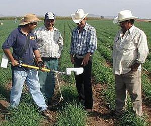 Farmer networks hold key to agricultural innovation in developing countries