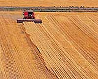 US farmers at odds with government over weather