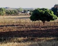 Zimbabwe says worst is over as it courts S.African investors