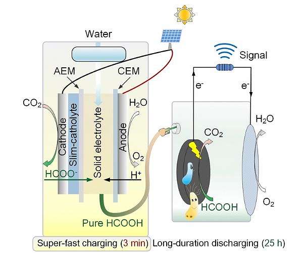 Chinese Research Team Develops Fast-Charging Biohybrid Battery System