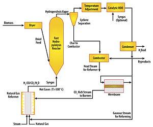 Natural Power Set To Turn Up The Heat In Biomass Sector