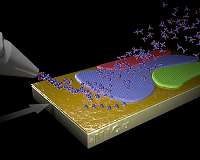 Large single-crystal graphene could advance scalable 2-D materials