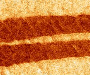 Unprecedented subatomic details of exotic ferroelectric nanomaterials