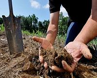Carbon sequestration in soil: The potential underfoot