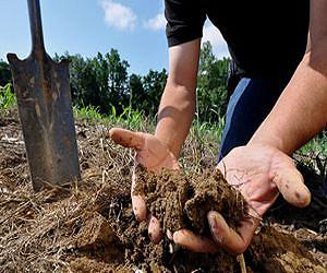 Dutch government introduces nitrogen-reduction bill for nature areas