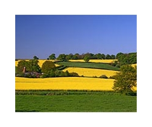 US Approach To Farming Should Change To Meet New Challenges