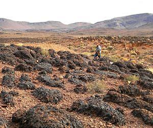 Seeking Life's Imprint in Shifting Desert Sand