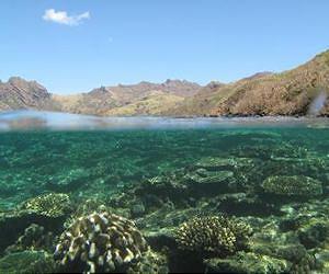 Saving Fiji's coral reefs linked to forest conservation upstream