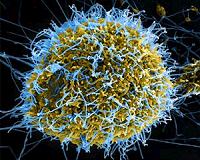 Intelligence agency shares unclassified data in fight against Ebola