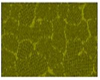Nanoscale heat flow predictions